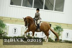 24BUCK_02019 proof