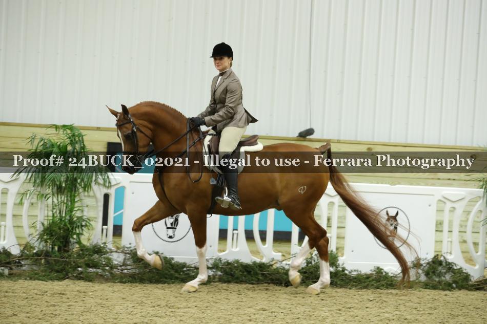 Proof 24BUCK_02021