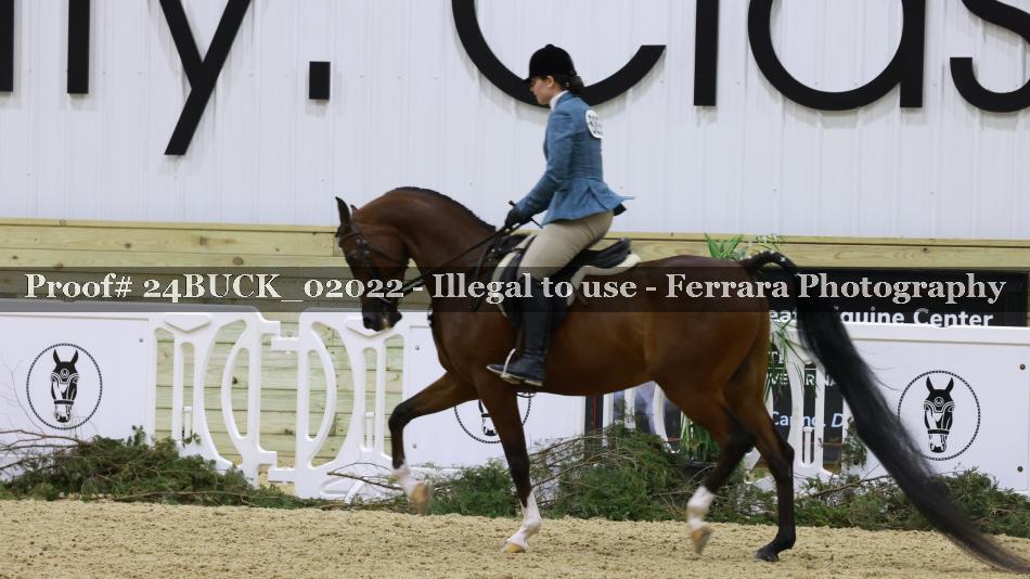Proof 24BUCK_02022