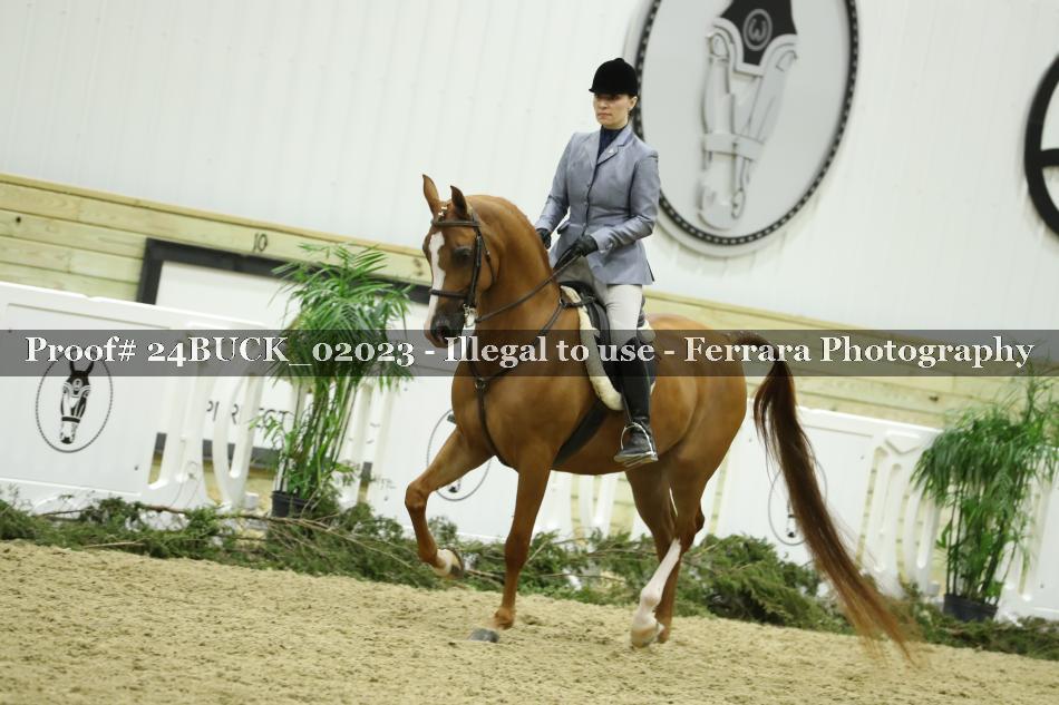Proof 24BUCK_02023