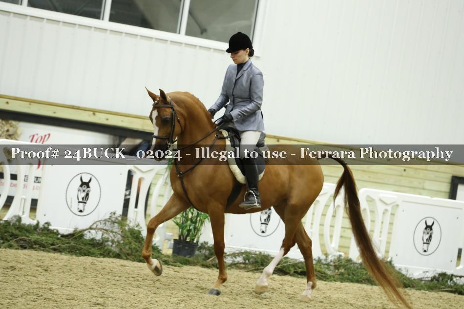 Proof 24BUCK_02024