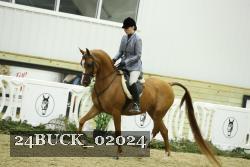 24BUCK_02024 proof