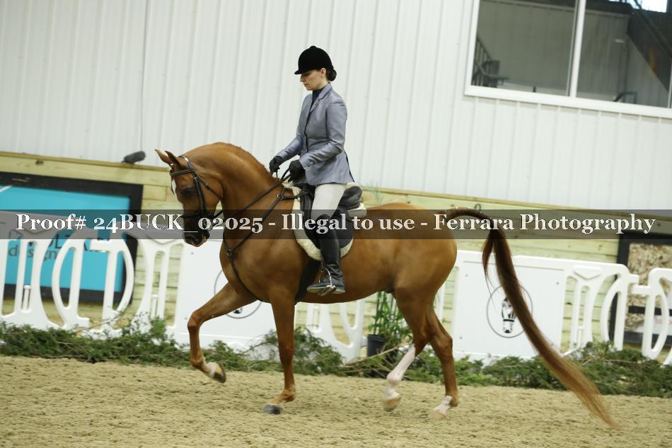 Proof 24BUCK_02025