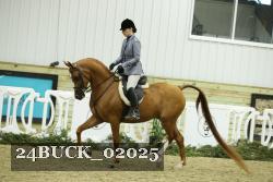 24BUCK_02025 proof