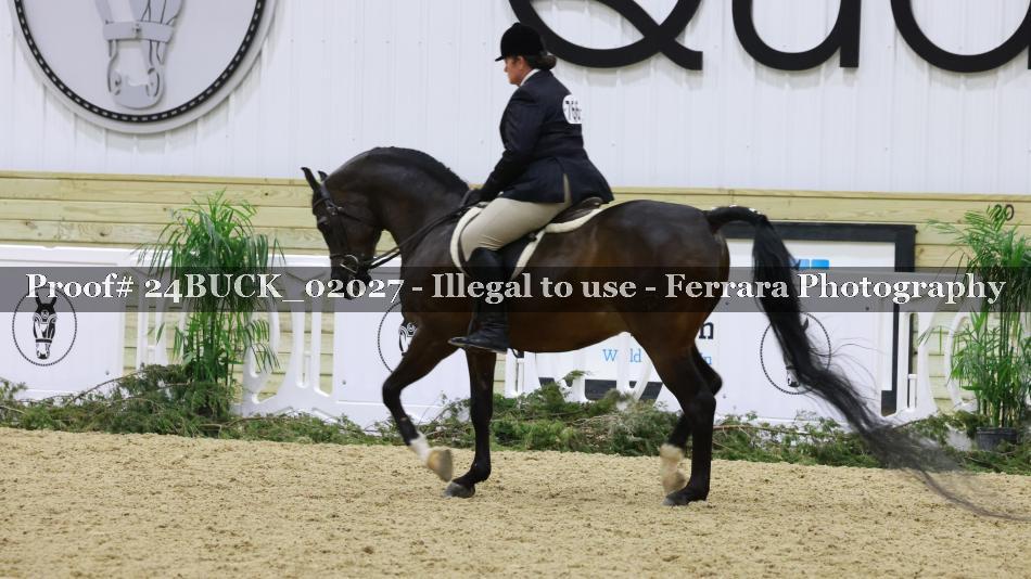 Proof 24BUCK_02027