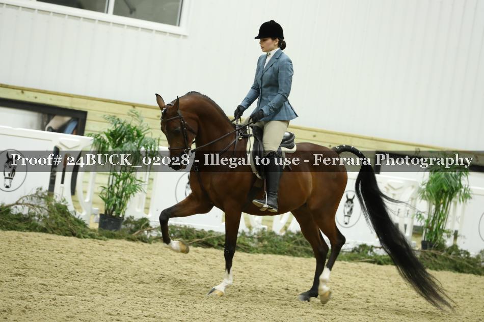Proof 24BUCK_02028