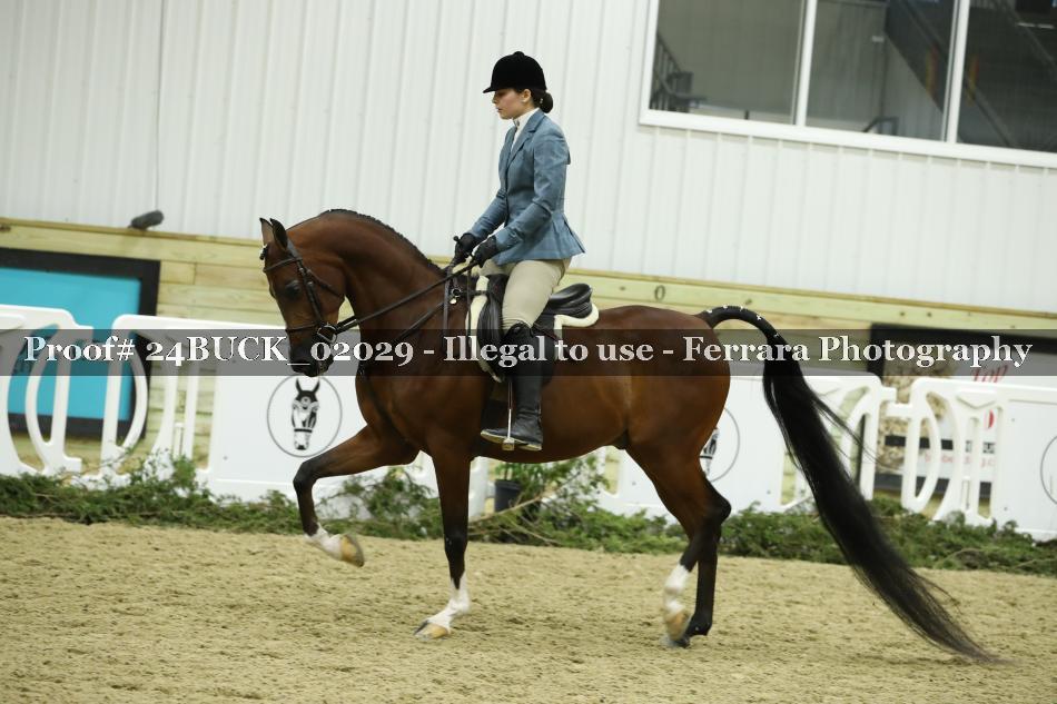Proof 24BUCK_02029