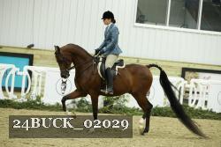 24BUCK_02029 proof