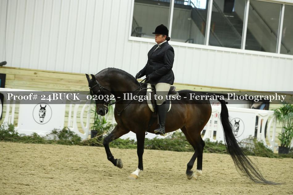 Proof 24BUCK_02032