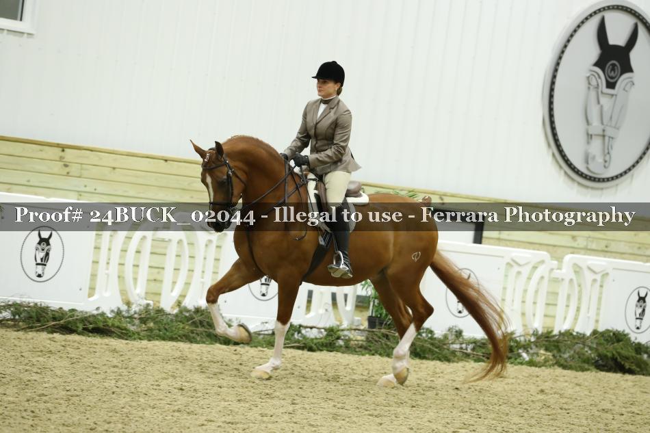 Proof 24BUCK_02044