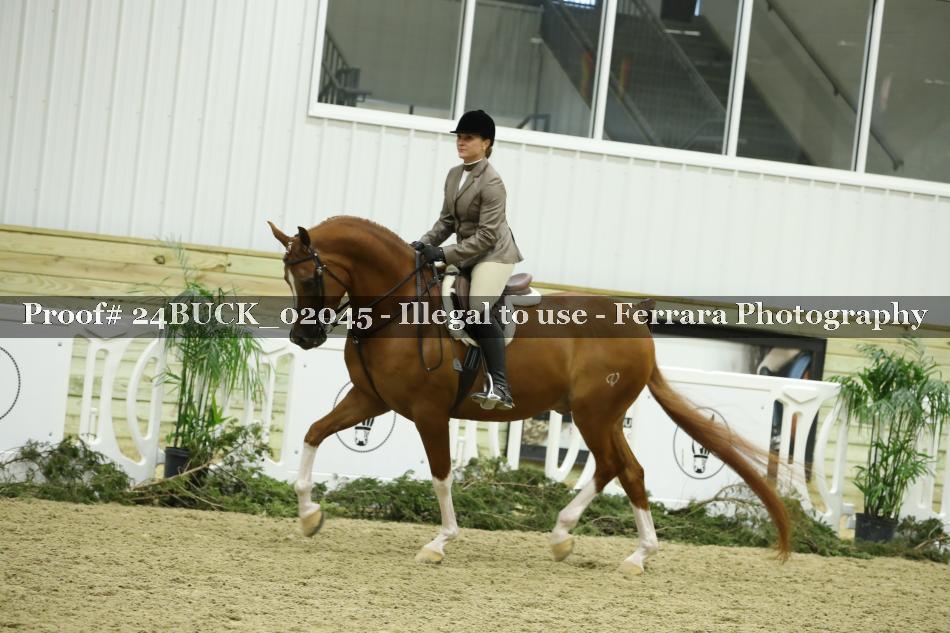 Proof 24BUCK_02045