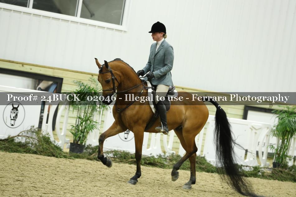 Proof 24BUCK_02046