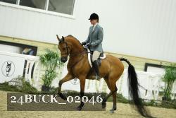 24BUCK_02046 proof