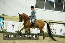 24BUCK_02049 proof