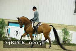 24BUCK_02050 proof