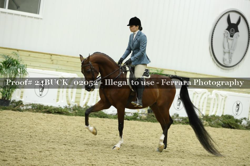 Proof 24BUCK_02052