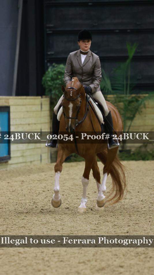Proof 24BUCK_02054