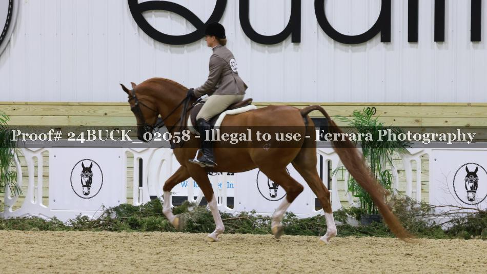 Proof 24BUCK_02058