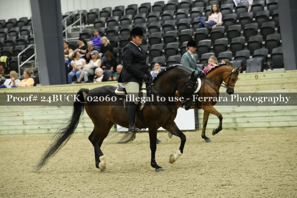 Proof 24BUCK_02060
