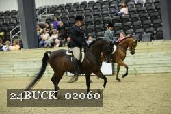 24BUCK_02060 proof