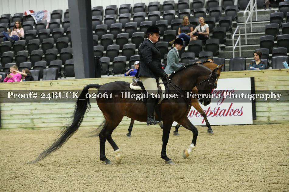 Proof 24BUCK_02061