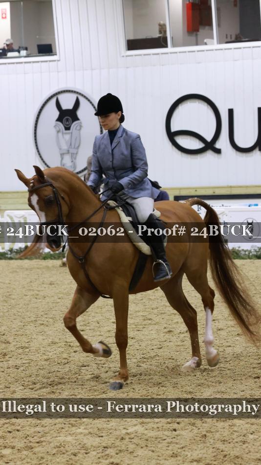 Proof 24BUCK_02062