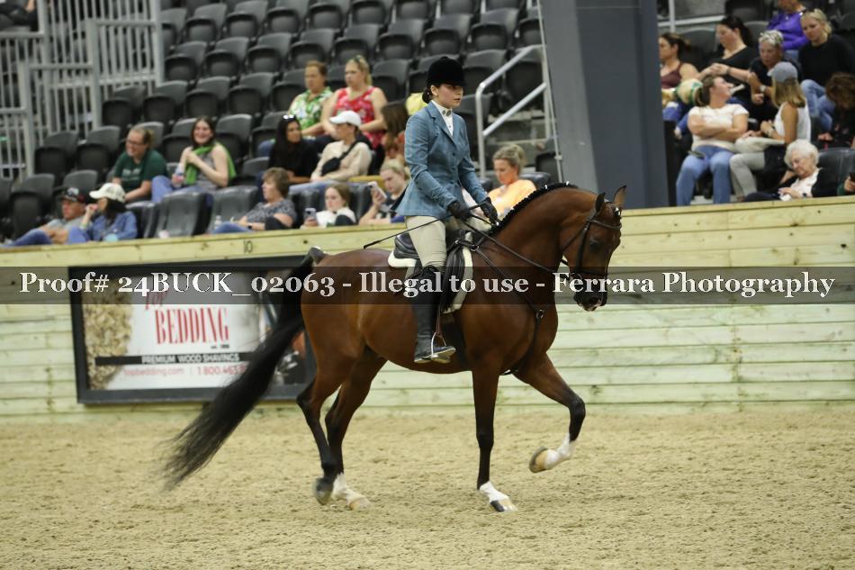 Proof 24BUCK_02063
