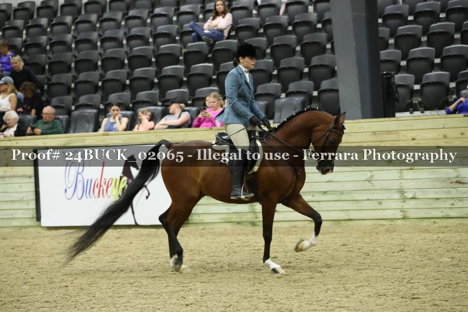 Proof 24BUCK_02065