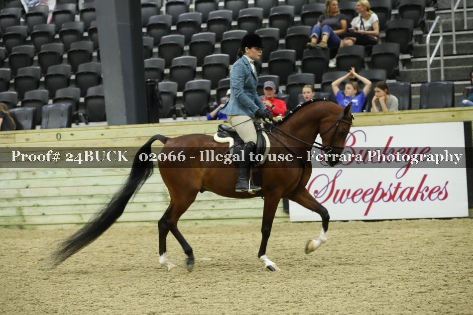 Proof 24BUCK_02066