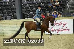 24BUCK_02066 proof