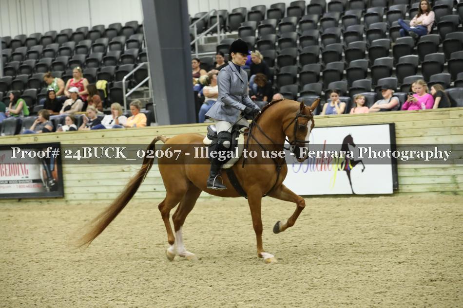 Proof 24BUCK_02067
