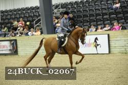 24BUCK_02067 proof
