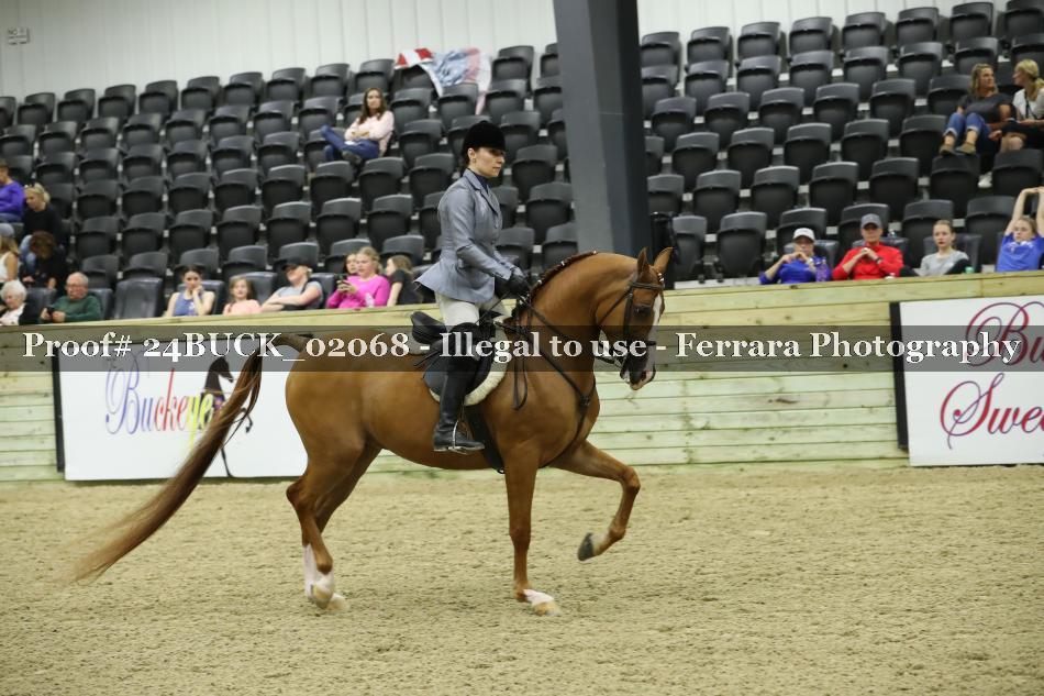 Proof 24BUCK_02068