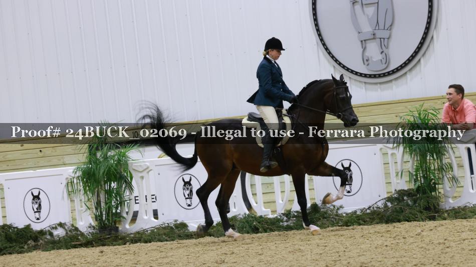 Proof 24BUCK_02069