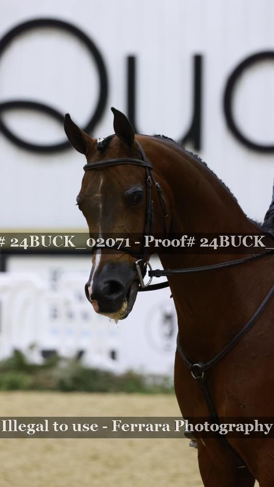 Proof 24BUCK_02071