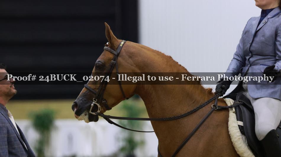 Proof 24BUCK_02074