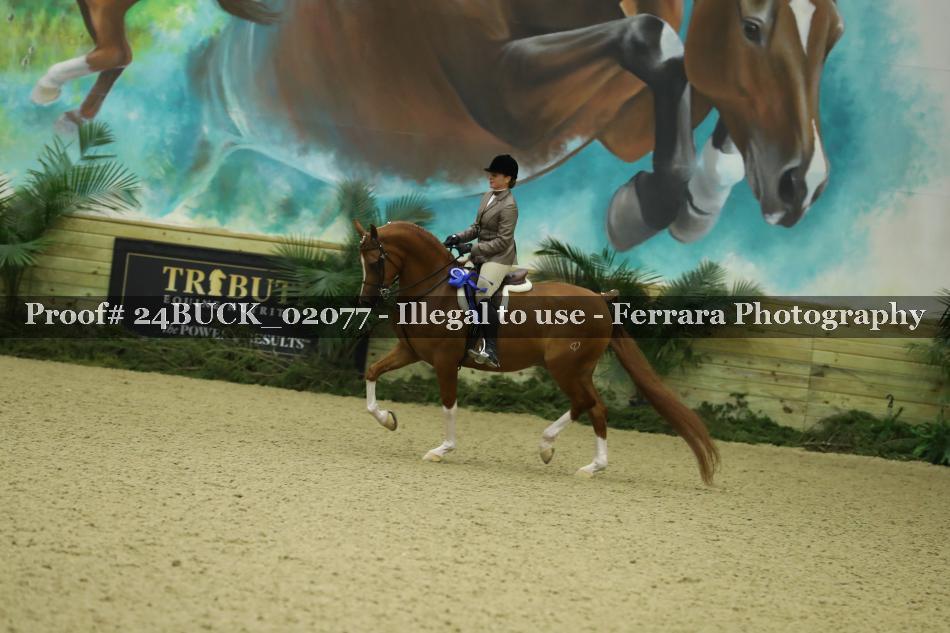Proof 24BUCK_02077