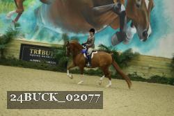 24BUCK_02077 proof
