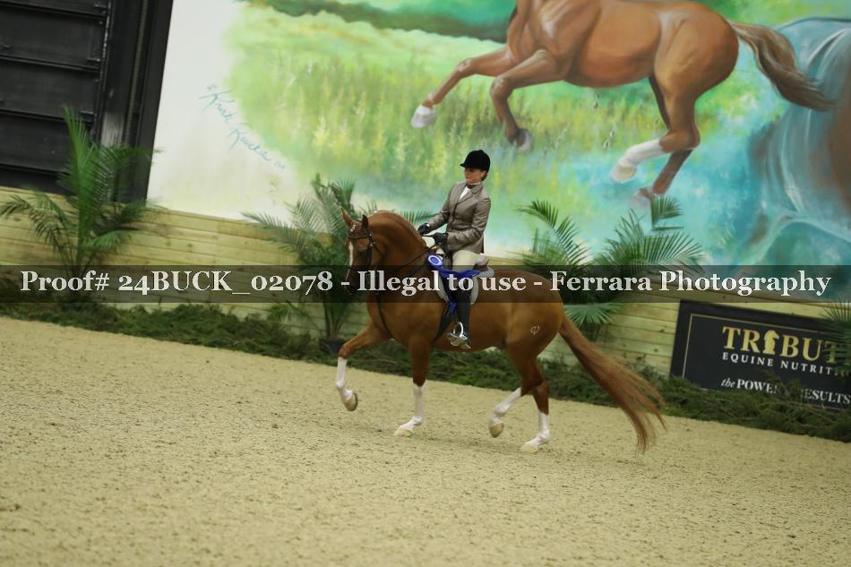 Proof 24BUCK_02078
