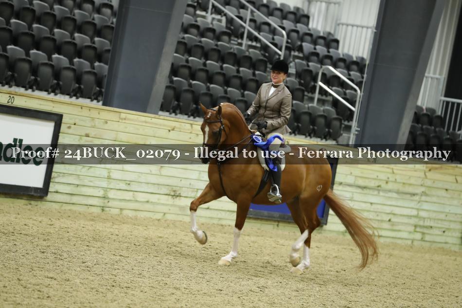 Proof 24BUCK_02079