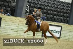 24BUCK_02080 proof