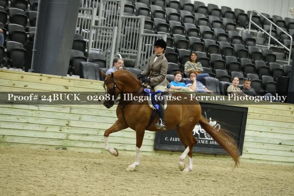 Proof 24BUCK_02081
