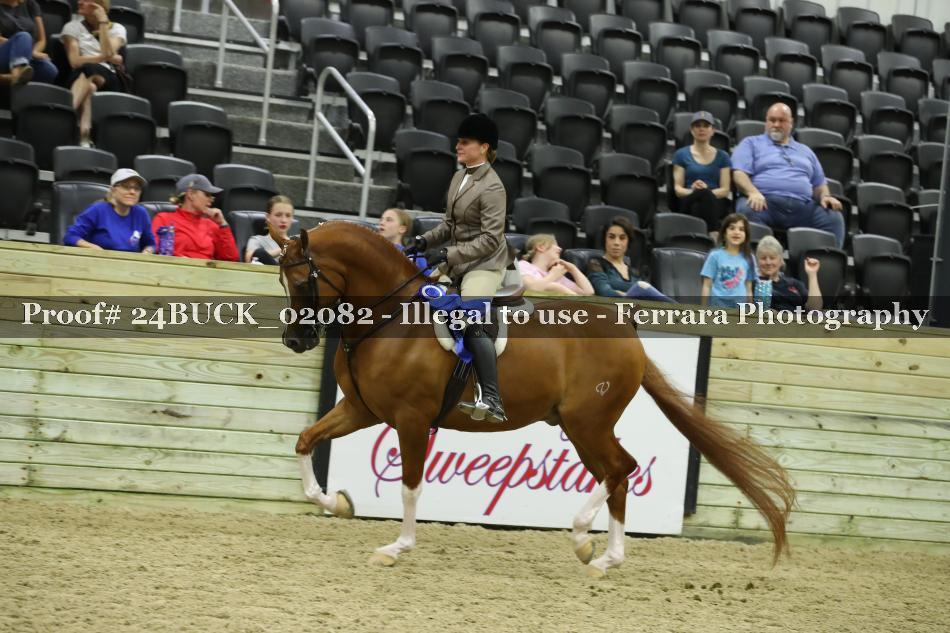Proof 24BUCK_02082