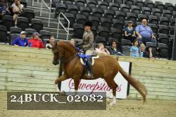 24BUCK_02082 proof