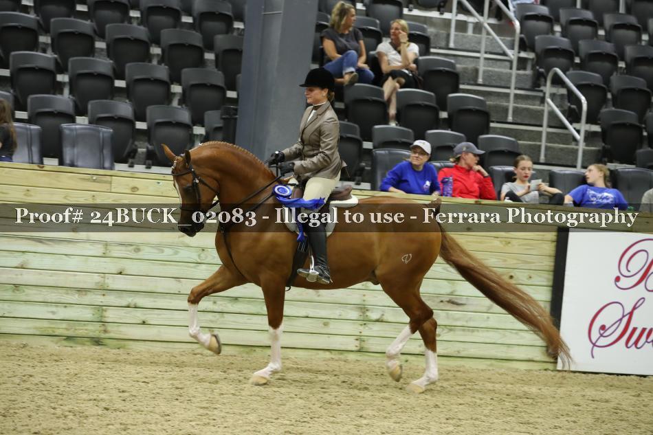 Proof 24BUCK_02083