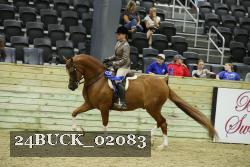 24BUCK_02083 proof