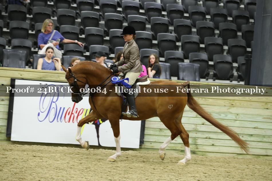 Proof 24BUCK_02084