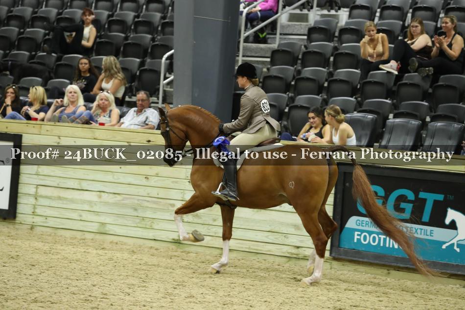 Proof 24BUCK_02085