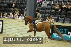 24BUCK_02085 proof