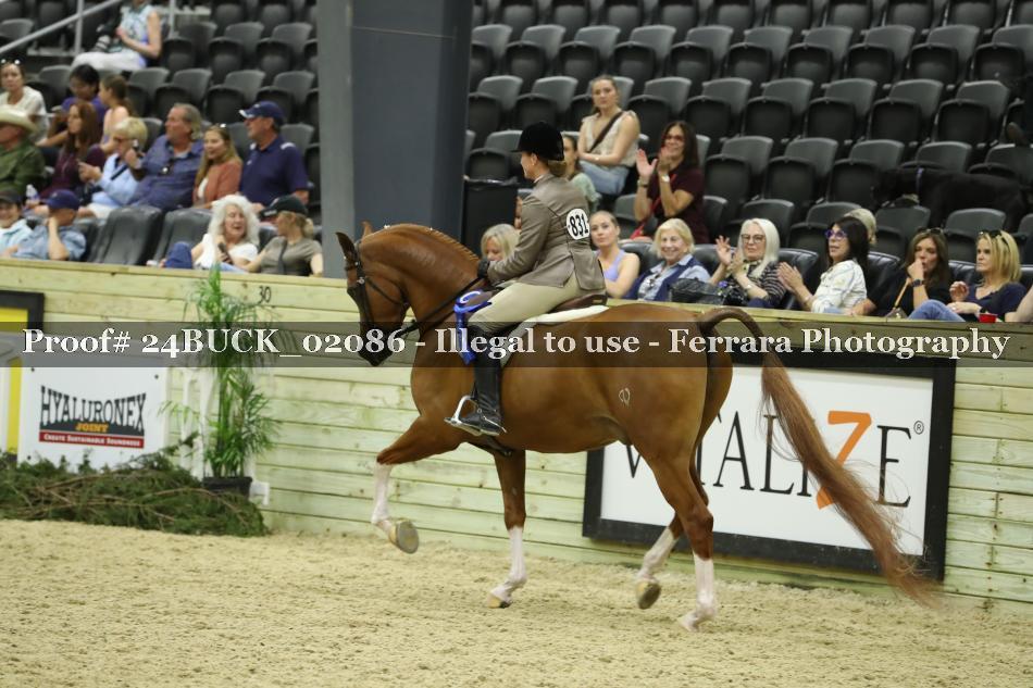 Proof 24BUCK_02086
